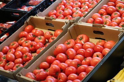 Tomatoes in market for sale