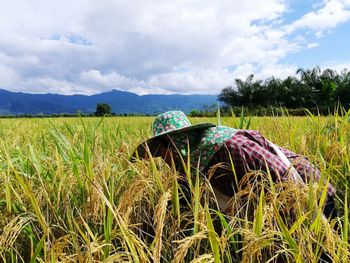 Scenic view of field against sky