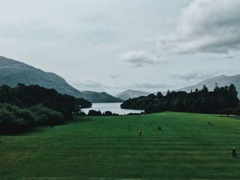 Scenic view of trees on field against sky