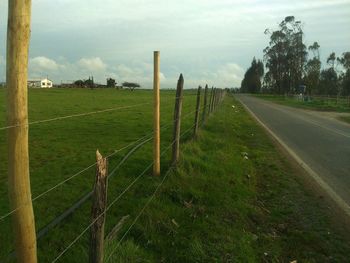 Footpath on grassy field