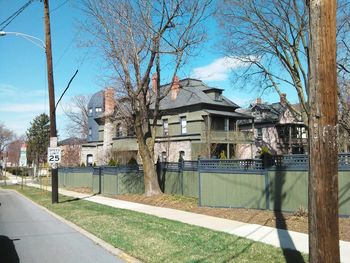 Bare trees with buildings in background