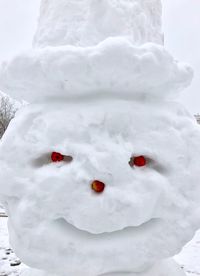 Close-up of frozen sculpture