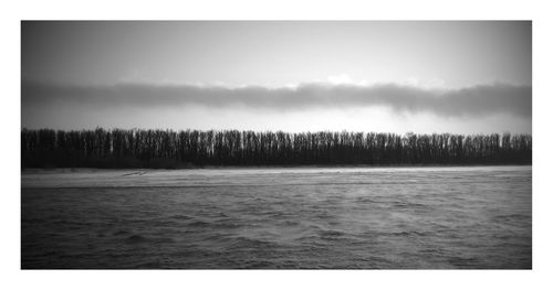 Panoramic view of trees against sky