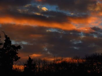 Silhouette of trees against dramatic sky