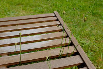 High angle view of wooden bench over grassy field at park