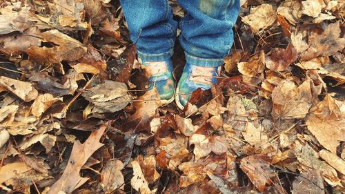 Low section of person standing on fallen autumn leaves