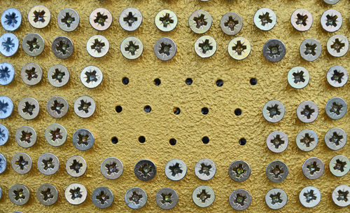 Close-up of screws mounted on wall