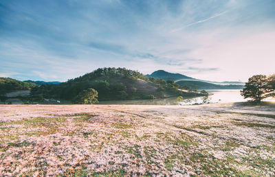 Scenic view of land against sky