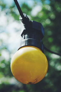 Close-up of lemon on tree against sky