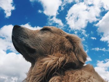 Low angle view of cloudy sky