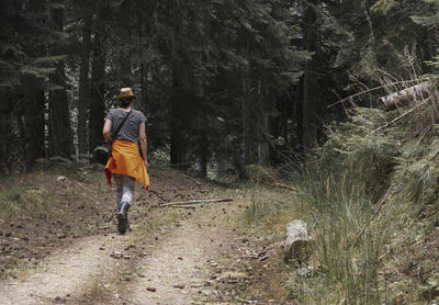 Rear view of person running on mountain path amidst trees in forest