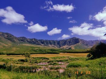 Scenic view of field against sky