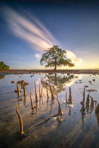 Scenic view of lake against sky during sunset