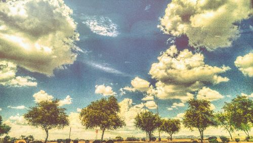 Low angle view of trees against sky