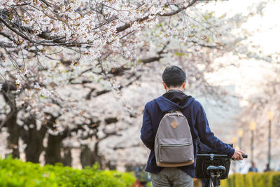 Rear view of man riding motorcycle on cherry tree