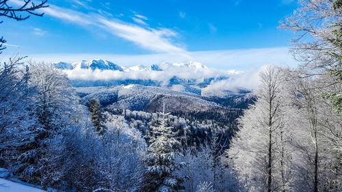 Scenic view of snowcapped mountains against sky