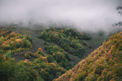 Scenic view of landscape against sky during foggy weather