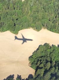 High angle view of trees on landscape