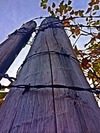 Low angle view of wooden structure