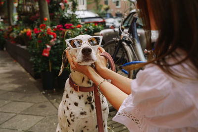 Close-up of dog