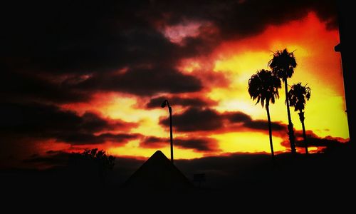 Silhouette of trees against dramatic sky