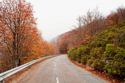 Road amidst trees against sky during autumn