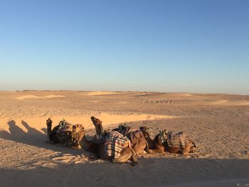 Panoramic view of desert against clear sky