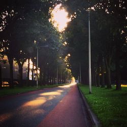 Road passing through trees at night