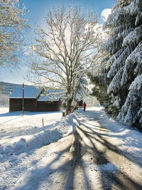 Snow covered road amidst trees against sky