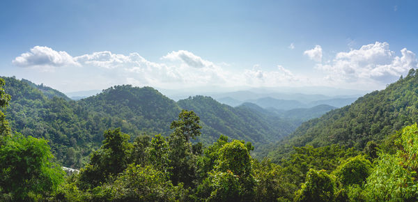 Panoramic view of trees and mountains against sky