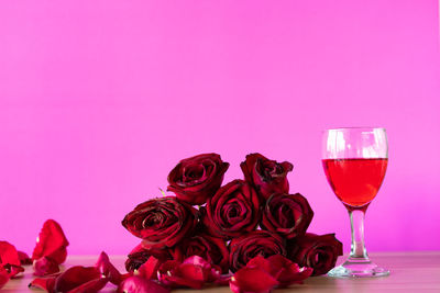 Close-up of rose on glass against white background