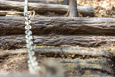 Close-up of rope on field