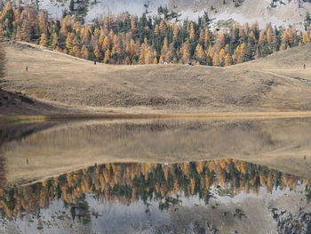 Scenic view of lake by trees