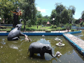 View of elephant in lake against trees