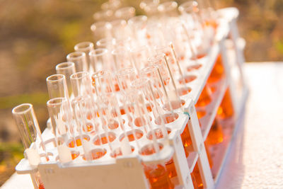 Close-up of test tubes in rack