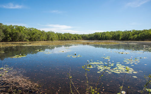 Scenic view of lake against sky