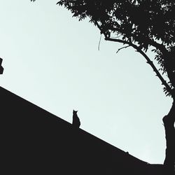 Low angle view of birds perching on roof