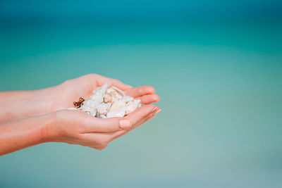 Close-up of hand holding shell over blue background