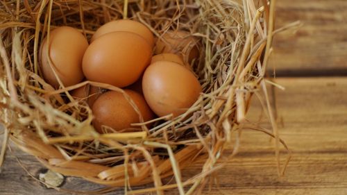 High angle view of eggs in basket