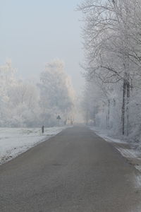 Snow covered trees against sky