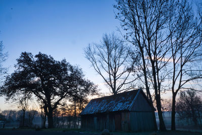 Bare trees and buildings against blue sky