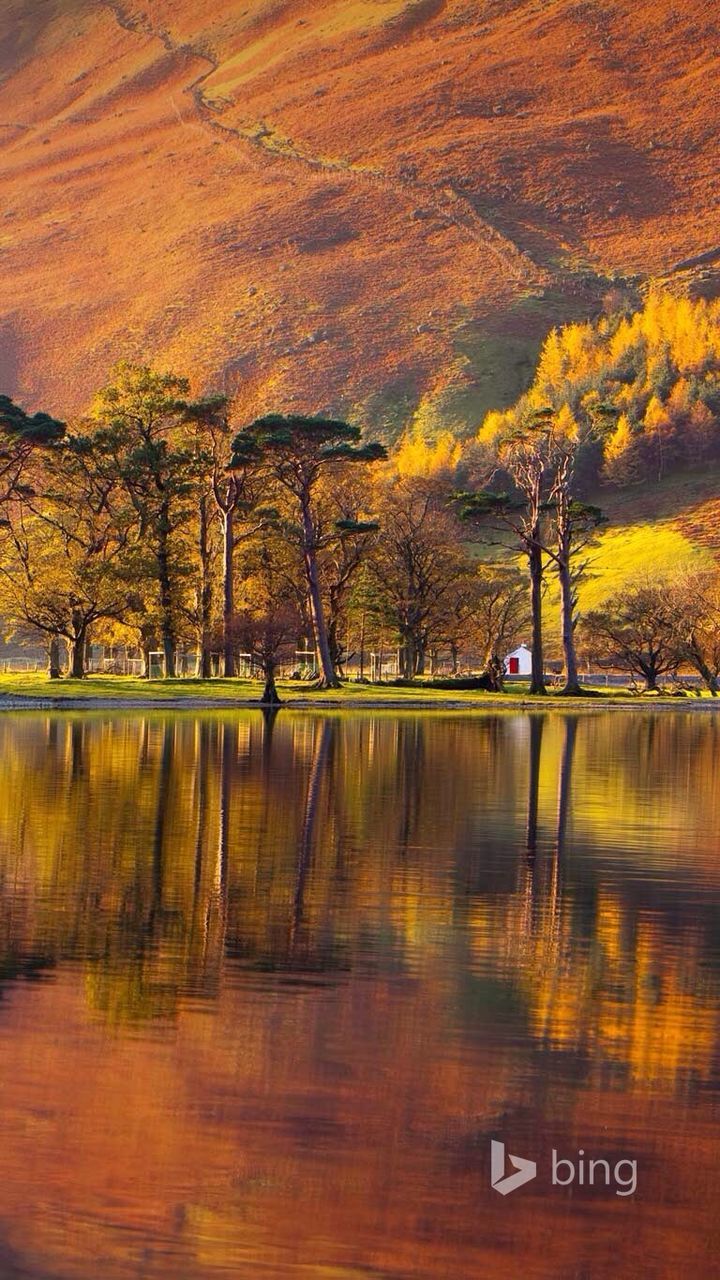 tree, water, reflection, tranquility, waterfront, lake, tranquil scene, nature, beauty in nature, river, scenics, autumn, growth, transportation, sunset, idyllic, outdoors, season, change