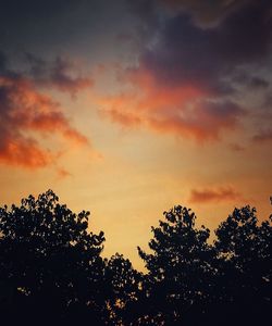 Low angle view of silhouette trees against sky at sunset