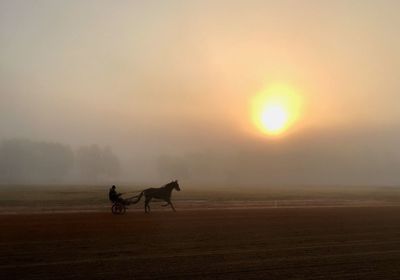 Horse riding on field against sky during sunset