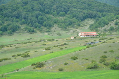 Scenic view of rural landscape