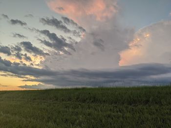 Scenic view of field against sky during sunset