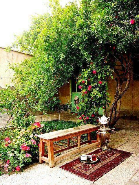 growth, tree, plant, no people, nature, green color, chair, table, day, beauty in nature, outdoors, freshness, architecture