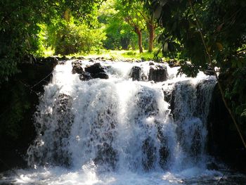 Scenic view of waterfall in forest