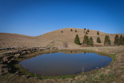 Scenic view of landscape against clear blue sky