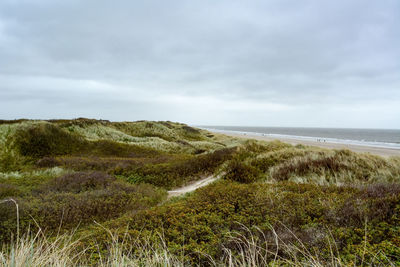 Scenic view of beach against sky